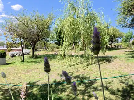 Alquiler temporario de cabana em Arroyo de los patos