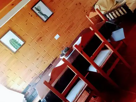 Alquiler temporario de cabana em Necochea