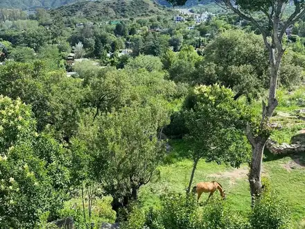 Alquiler temporario de casa em Potrero de los funes