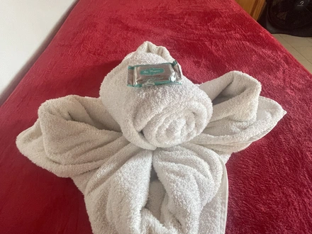 Alquiler temporario de hotel en San bernardo del tuyu