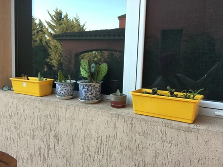 Alquiler temporario de casa em Necochea