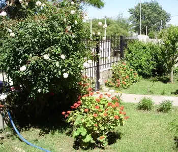 Alquiler temporario de casa em Monte hermoso
