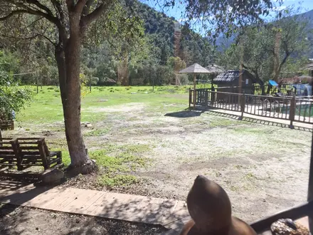 Arriendo temporario de cabana em Marga marga