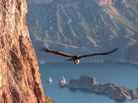 Alquiler temporario de cabana em San rafael