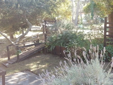 Alquiler temporario de casa en Mar de las pampas