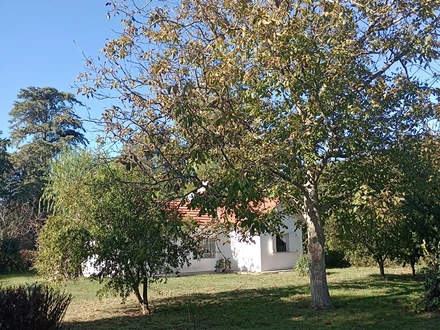 Alquiler temporario de casa em El sosiego, mar del plata