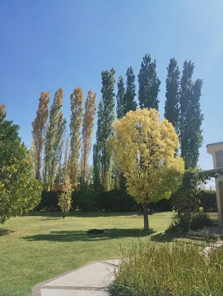 Alquiler temporario de caba&ntilde;a en San rafael