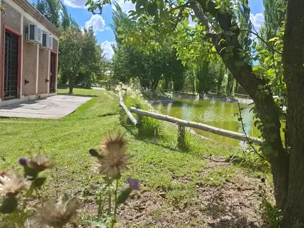 Alquiler temporario de caba&ntilde;a en San rafael