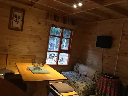 Arriendo temporario de caba&ntilde;a en Provincia de diguill&iacute;n