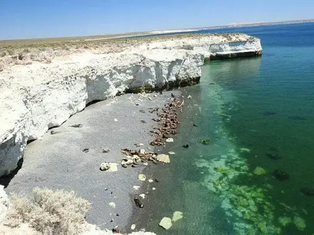 Alquiler temporario de departamento en Puerto madryn