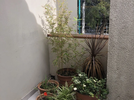 Alquiler temporario de departamento en Mar del plata