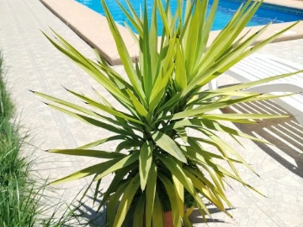 Arriendo temporario de casa en Olmu&eacute;