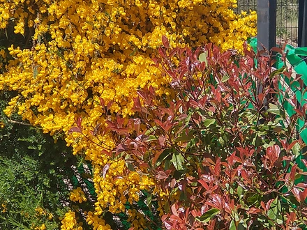 Alquiler temporario de apartamento em Bariloche