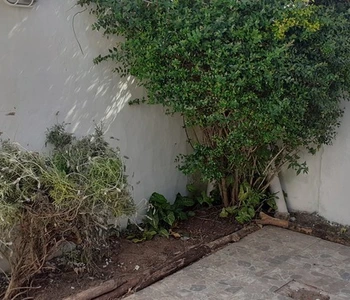 Alquiler temporario de apartamento em San clemente del tuyu