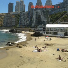 Arriendo temporario de departamento en Vi&ntilde;a del mar