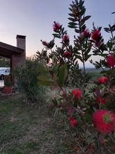 Alquiler temporario de casa em Santa mónica