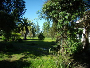 Alquiler temporario de casa en San pedro