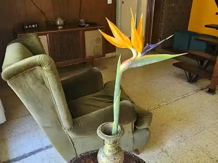 Alquiler temporario de casa em Mar del plata