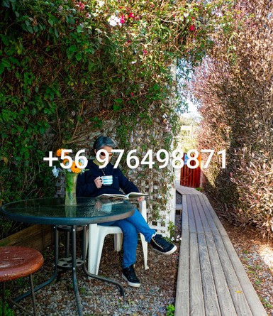 Arriendo temporario de cabana em El quisco