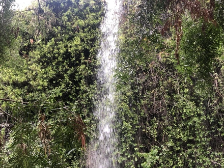 Arriendo temporario de caba&ntilde;a en Provincia de &ntilde;uble