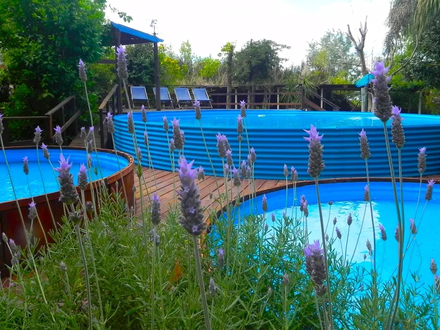 Alquiler temporario de caba&ntilde;a en Col&oacute;n