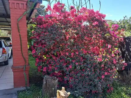 Alquiler temporario de cabana em Yerba buena