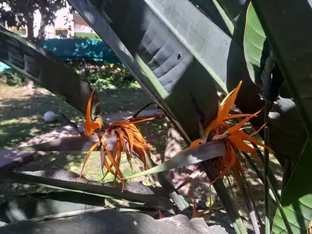 Alquiler temporario de cabana em Yerba buena