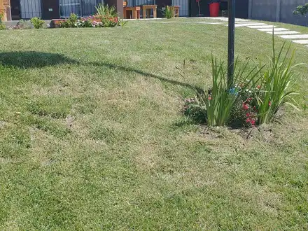 Alquiler temporario de alojamento em Necochea