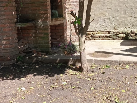 Alquiler temporario de casa em Necochea