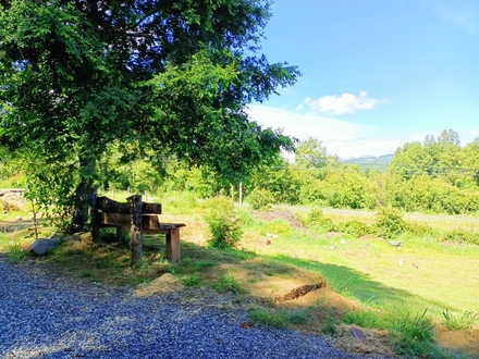 Arriendo temporario de caba&ntilde;a en Caut&iacute;n