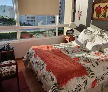 Arriendo temporario de apartamento em Petorca