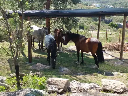 Alquiler temporario de casa en Villa flor serrana  tanti