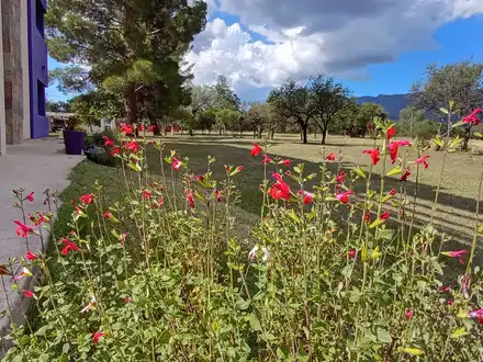 Alquiler temporario de apart en Cerro de oro