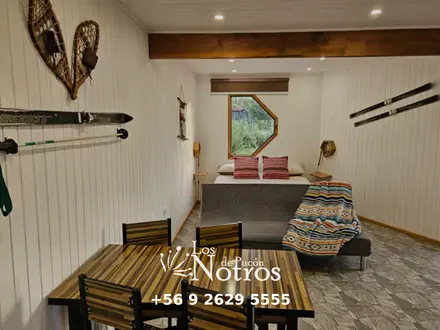 Arriendo temporario de caba&ntilde;a en Puc&oacute;n