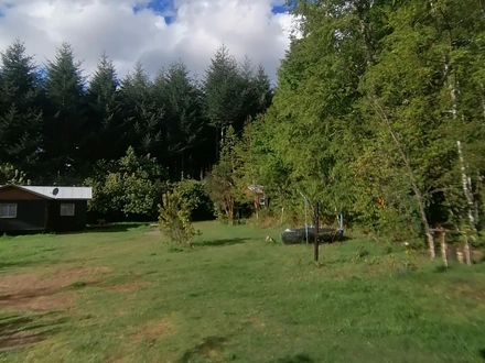 Arriendo temporario de caba&ntilde;a en Caut&iacute;n