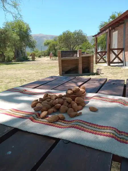 Alquiler temporario de cabaña en Cortaderas