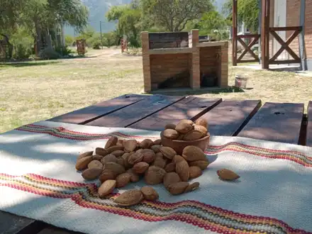 Alquiler temporario de cabaña en Cortaderas