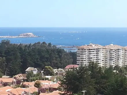 Arriendo temporario de departamento en Algarrobo