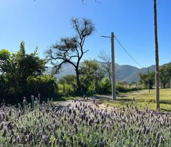 Alquiler temporario de departamento en Vaqueros