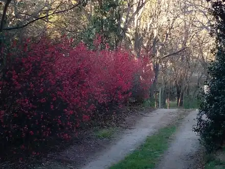 Alquiler temporario de casa de campo em Villa carlos paz