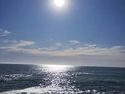 Alquiler temporario de casa en Mar del plata
