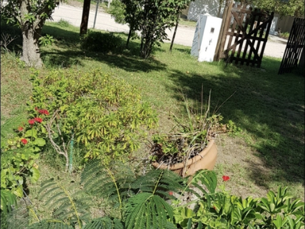 Alquiler temporario de casa en Claromeco