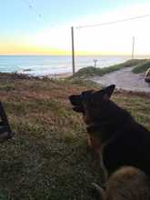 Alquiler temporario de casa en Mar del sur