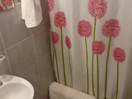 Alquiler temporario de departamento en El bols&oacute;n