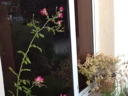 Alquiler temporario de apartamento em El bolsón