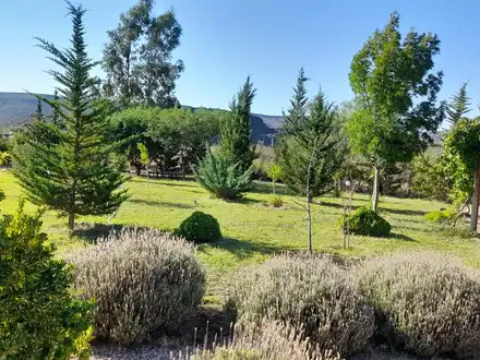 Alquiler temporario de apart en San rafael
